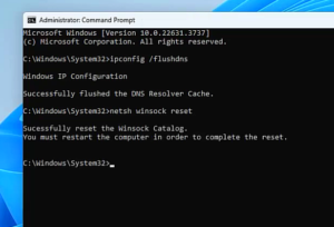 netsh winsock reset